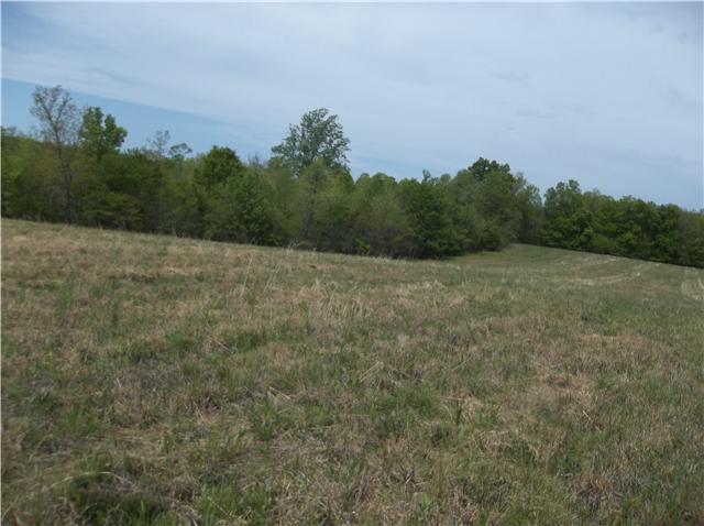 0 Shores Road Leoma, TN 38468 - Photo 16 of 18 Gallery Image 16