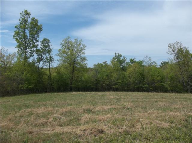 0 Shores Road Leoma, TN 38468 - Photo 17 of 18 Gallery Image 17