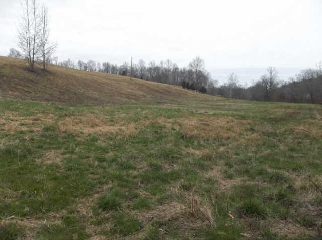 0 Shores Road Leoma, TN 38468 - Photo 2 of 18 Gallery Image 2
