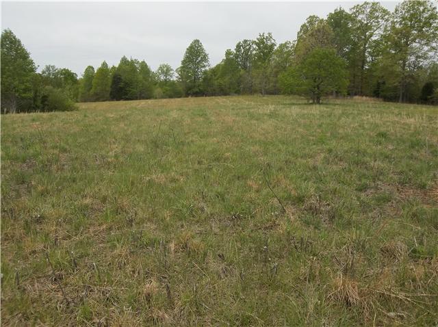 0 Shores Road Leoma, TN 38468 - Photo 4 of 18 Gallery Image 4