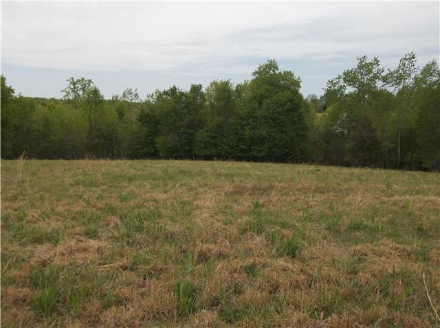 0 Shores Road Leoma, TN 38468 - Photo 5 of 18 Gallery Image 5