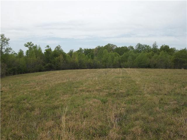 0 Shores Road Leoma, TN 38468 - Photo 6 of 18 Gallery Image 6