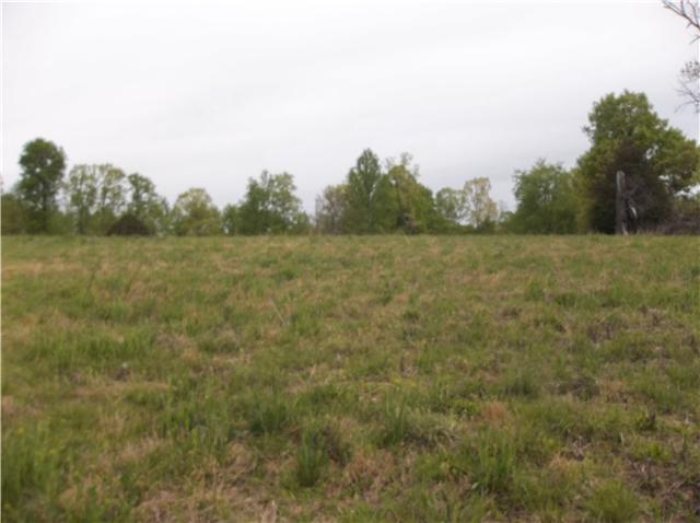 0 Shores Road Leoma, TN 38468 - Photo 8 of 18 Gallery Image 8