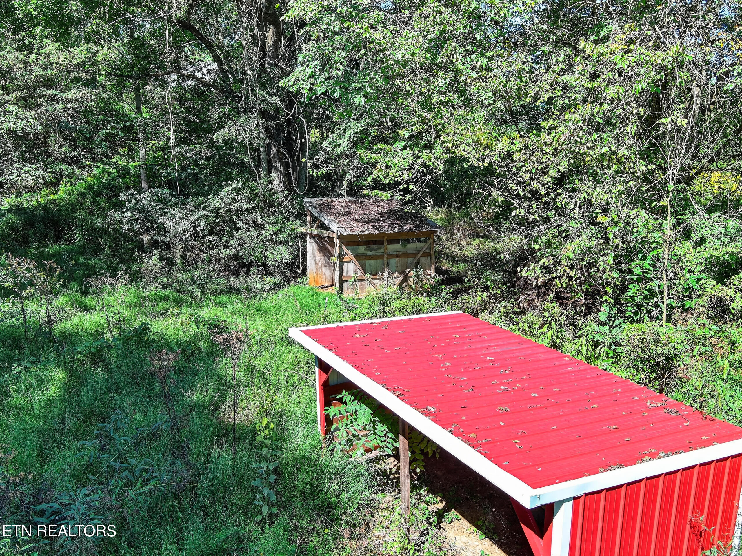 4816 St Paul Road Morristown, TN 37813 - Photo 38 of 41 MAX_0350