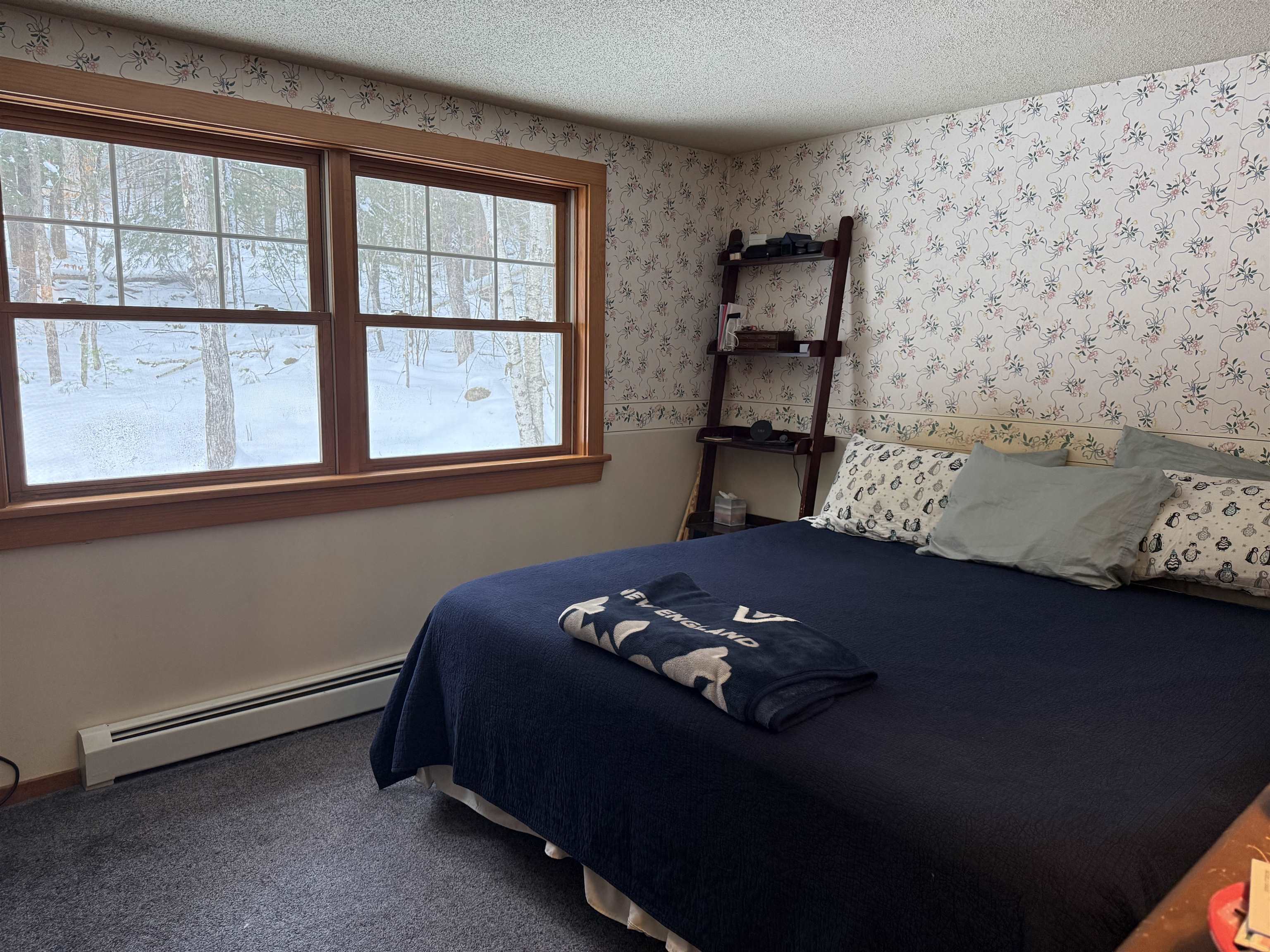 275 Grafton Turnpike Road Canaan, NH 03741 - Photo 16 of 55