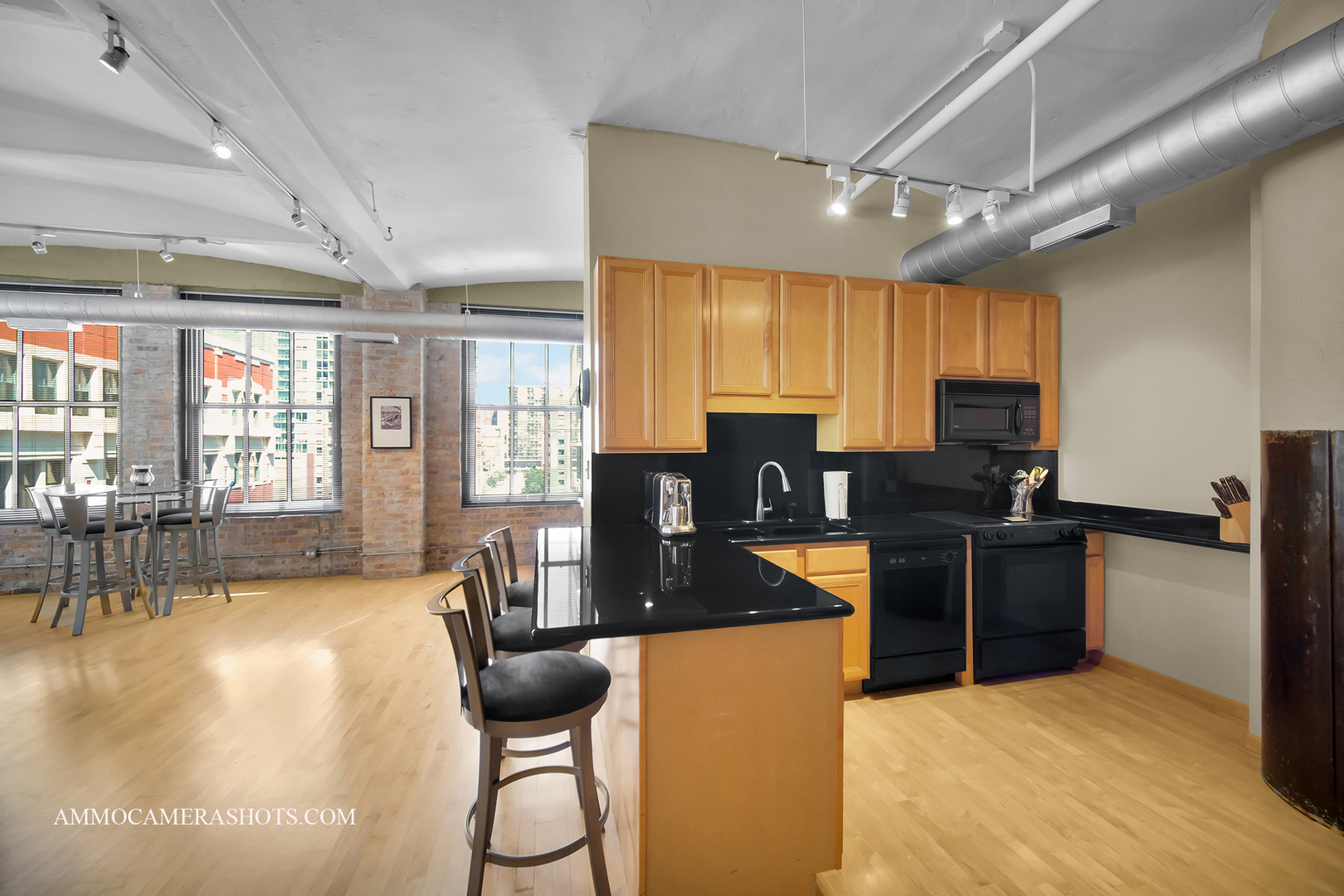 801 South Wells Street, Unit 710 Chicago, IL 60607 - Photo 9 of 24 Gallery Image 9