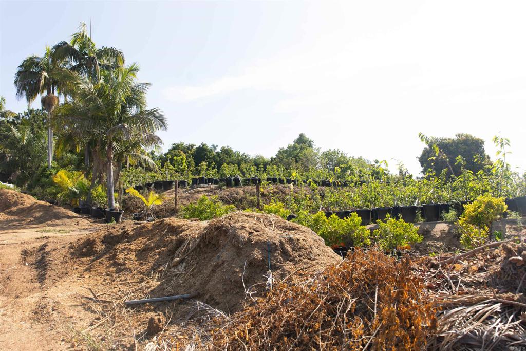 3129 Reche Road Fallbrook, CA 92028 - Photo 20 of 36