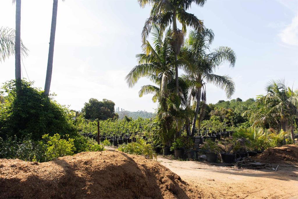 3129 Reche Road Fallbrook, CA 92028 - Photo 30 of 36