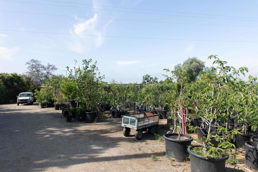 3129 Reche Road Fallbrook, CA 92028 - Photo 3 of 36