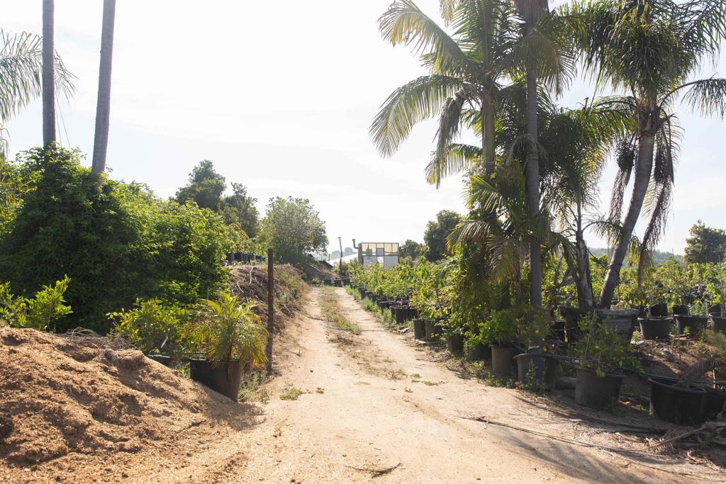 3129 Reche Road Fallbrook, CA 92028 - Photo 31 of 36