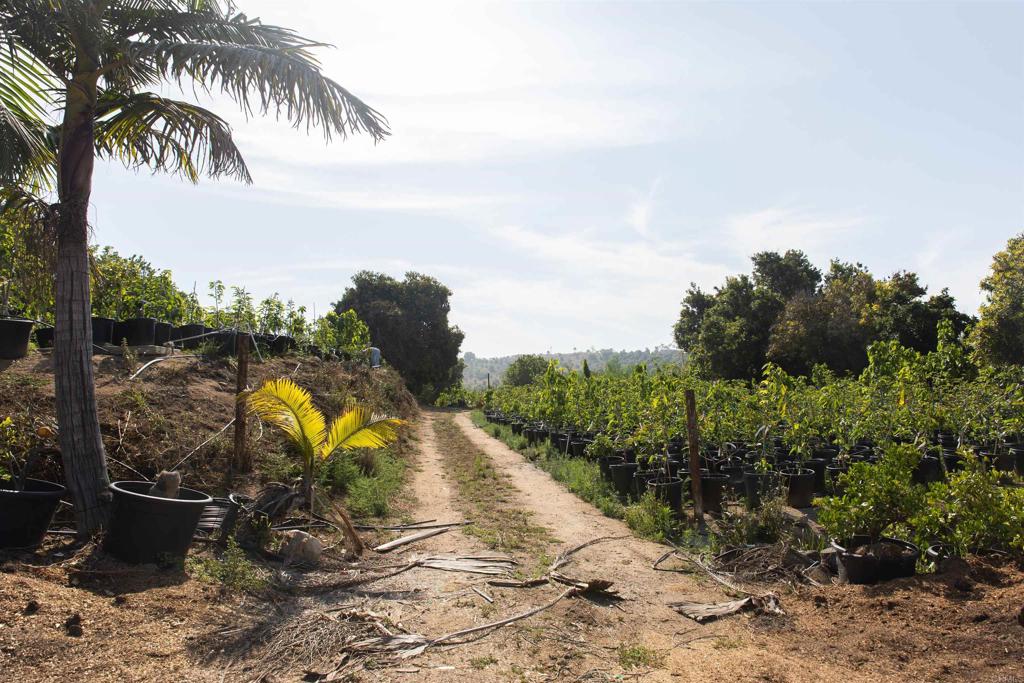 3129 Reche Road Fallbrook, CA 92028 - Photo 32 of 36