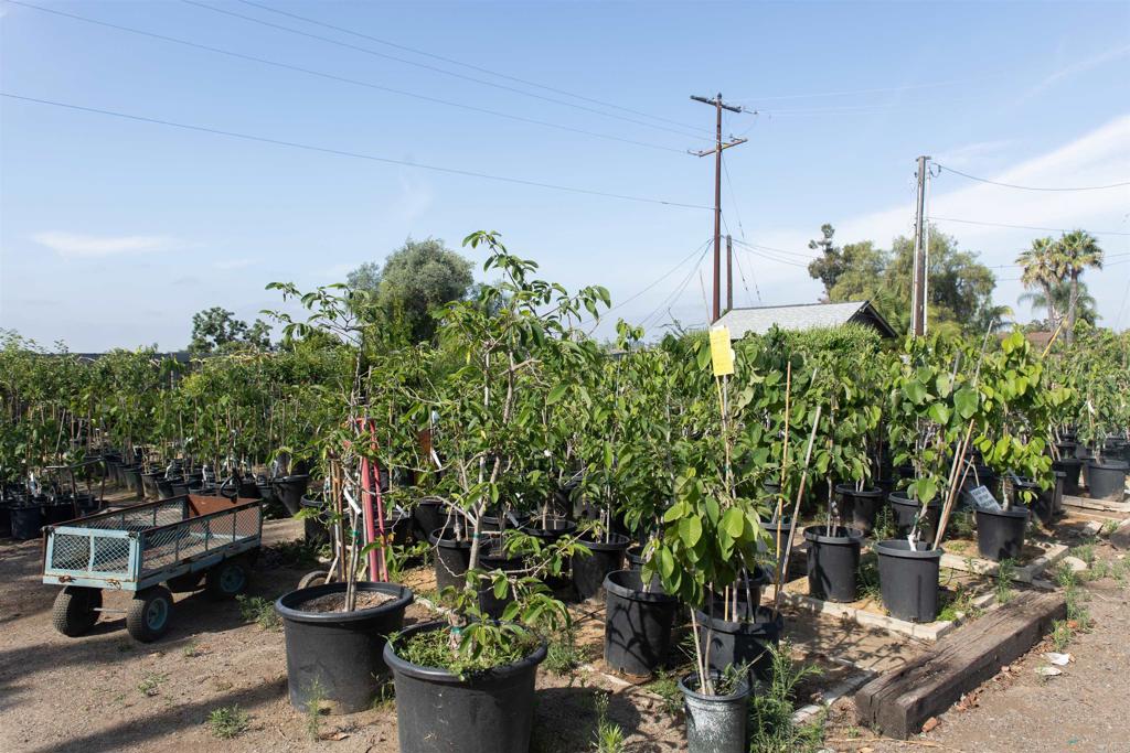 3129 Reche Road Fallbrook, CA 92028 - Photo 10 of 36