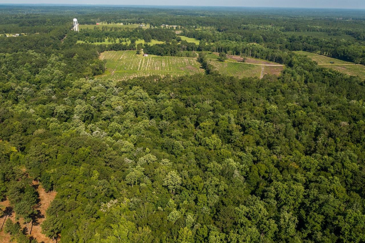 Xxxx Watermill Road Monticello, FL 32344 - Photo 9 of 21 Gallery Image 9