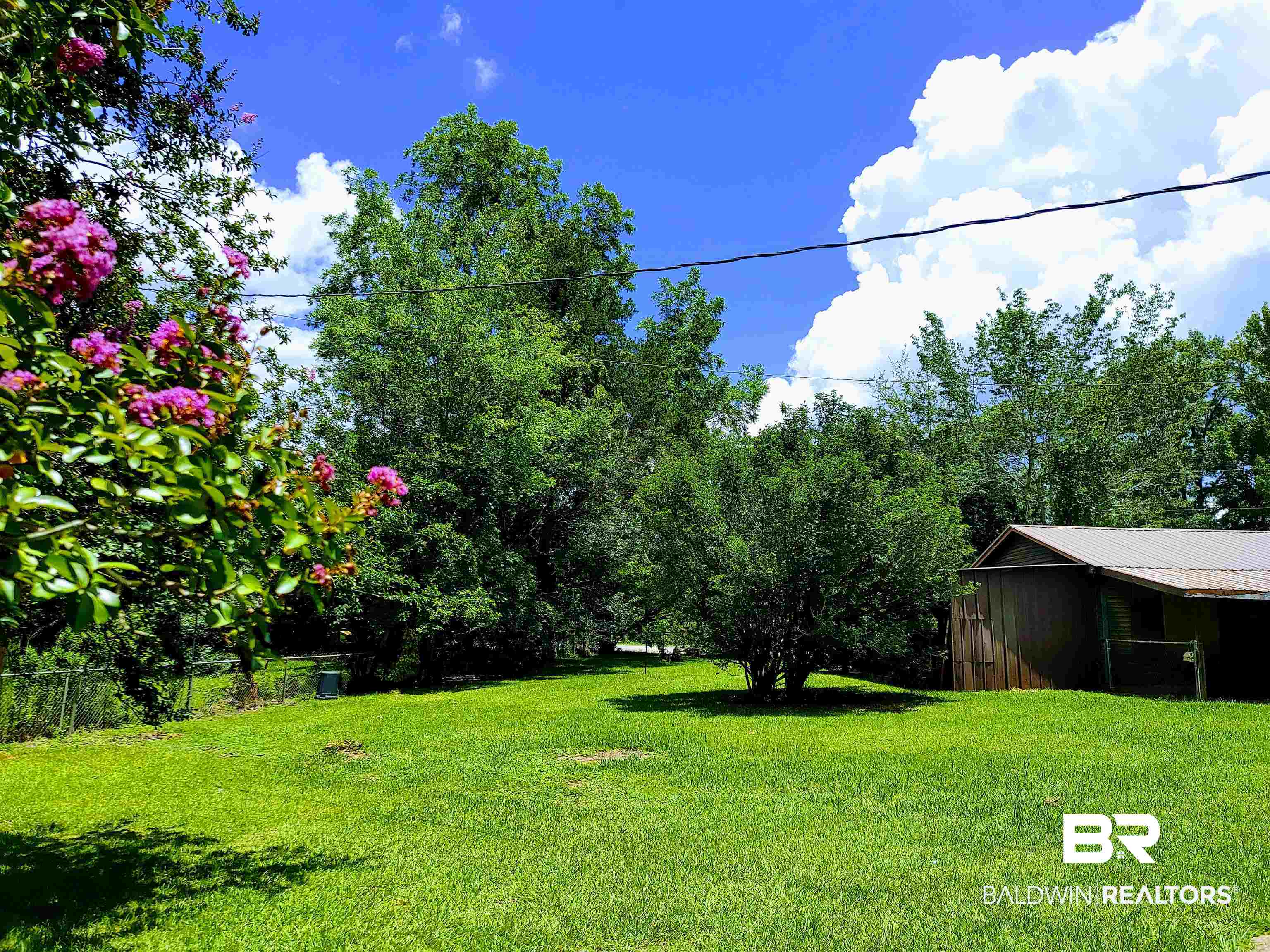 609 Highway 17 Silas, AL 36919 - Photo 25 of 32