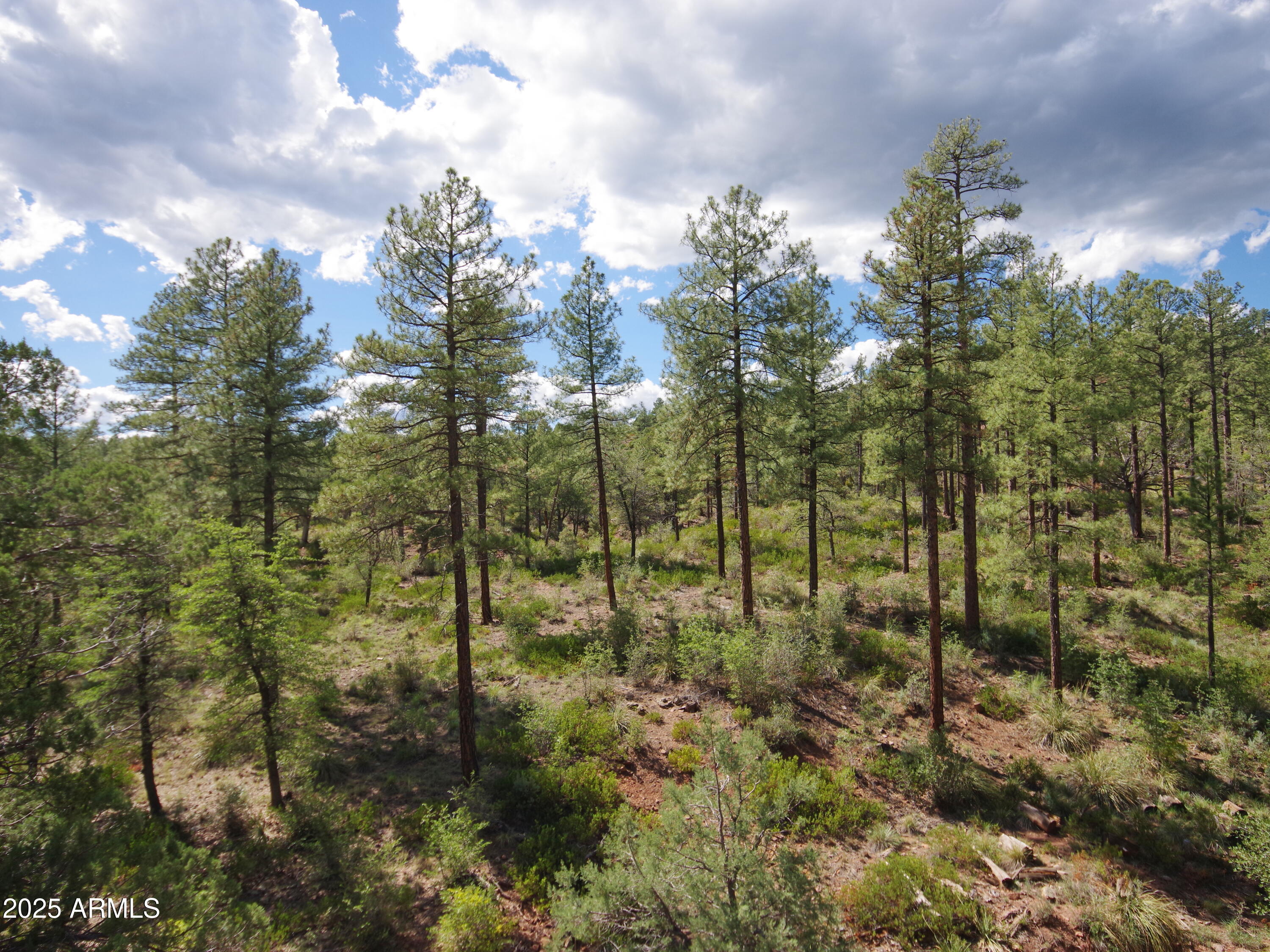 134 East Belluzzi Boulevard Payson, AZ 85541 - Photo 3 of 23 IMGP0390