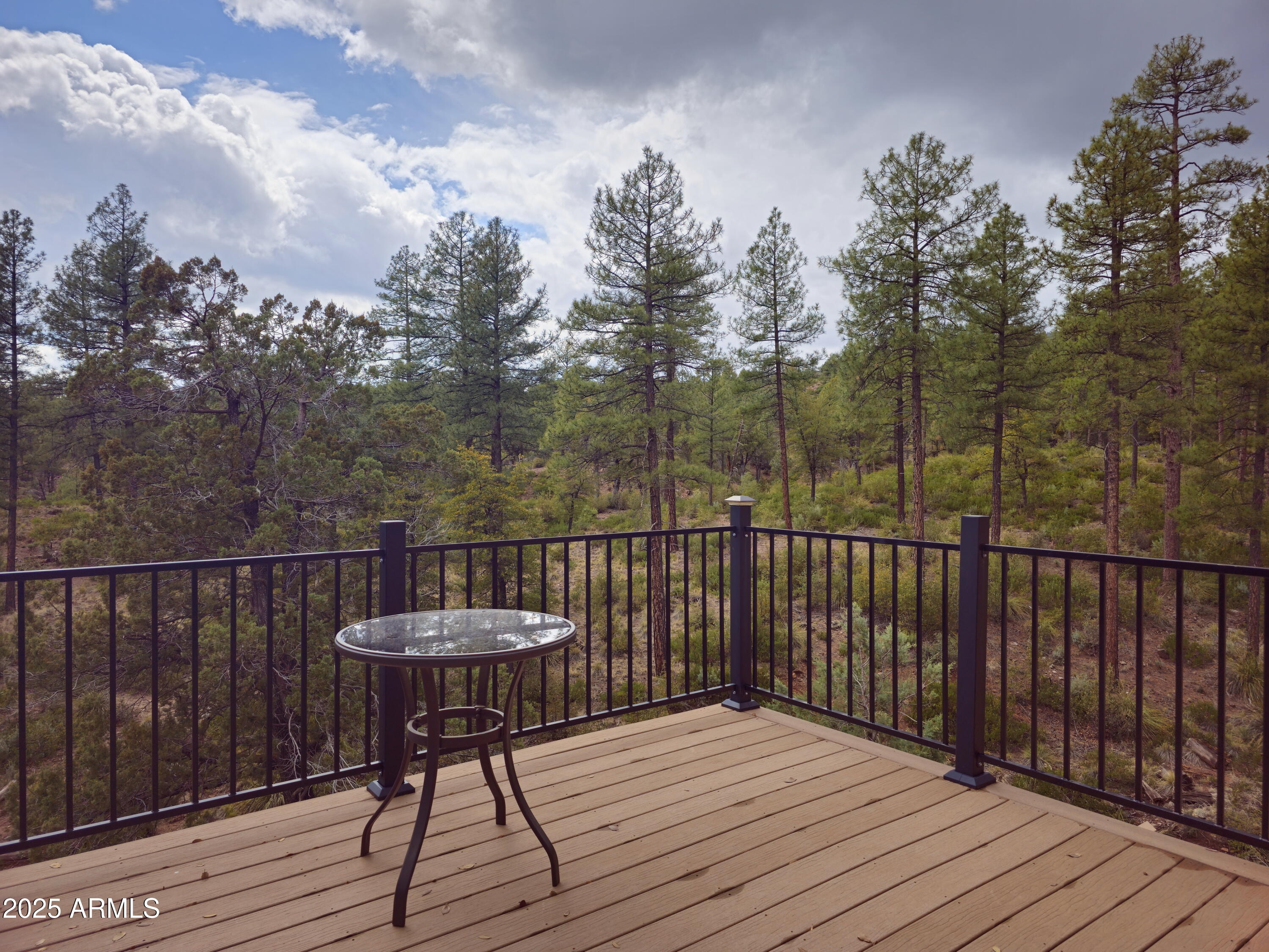 134 East Belluzzi Boulevard Payson, AZ 85541 - Photo 8 of 23 Balcony Deck