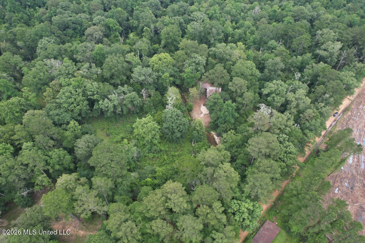 6642 Grange Hall Road Osyka, MS 39657 - Photo 44 of 50 DJI_0128 Large