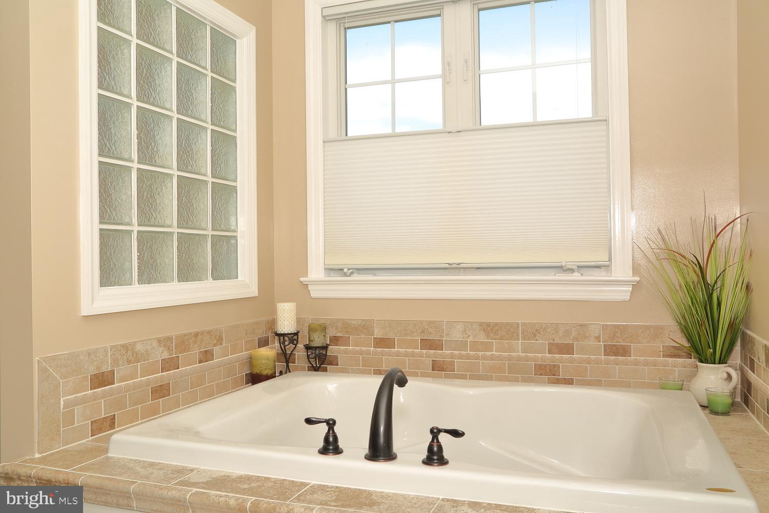 1332 Amosite Road Bainbridge, PA 17502 - Photo 18 of 30 Generously sized soaking tub