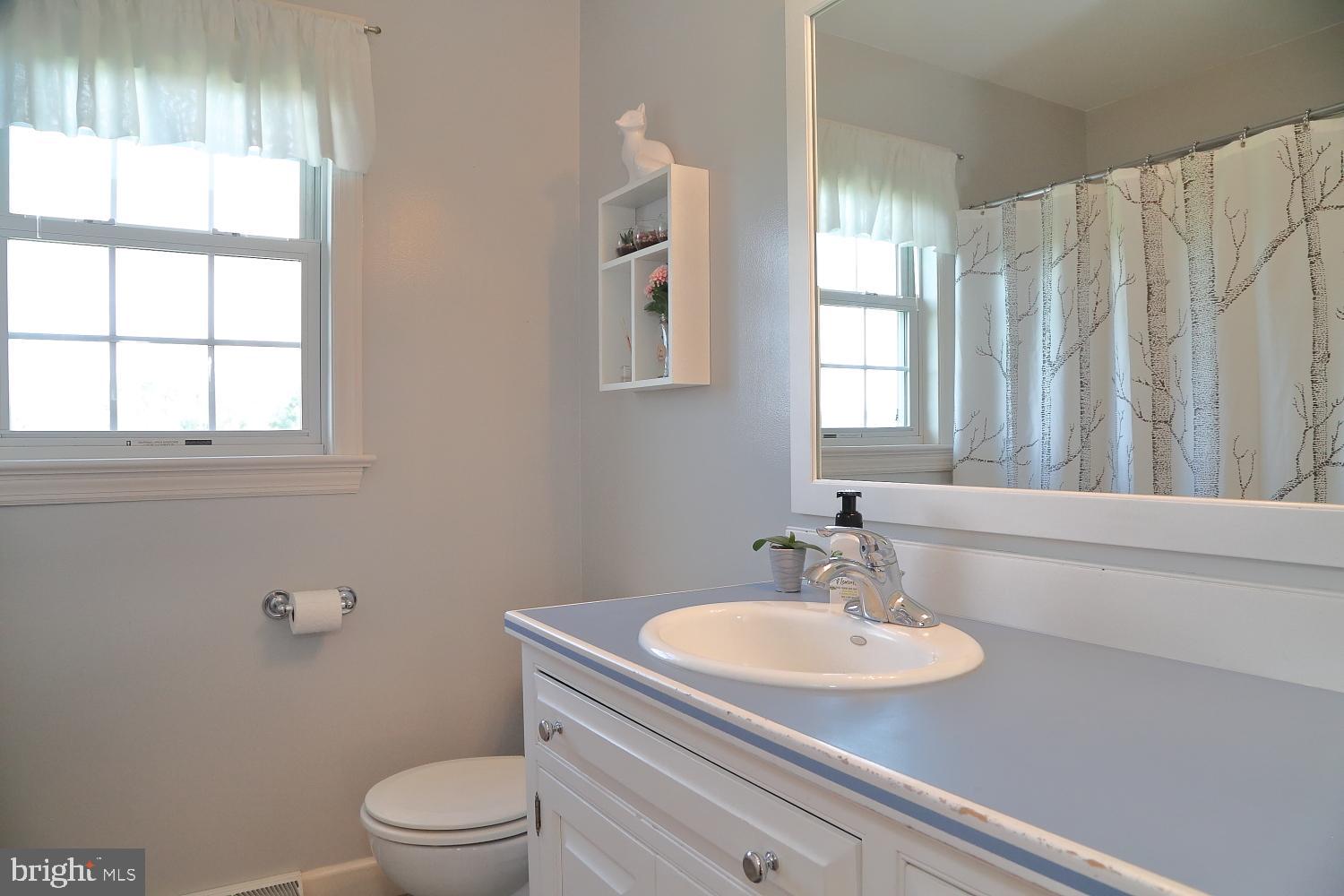 1332 Amosite Road Bainbridge, PA 17502 - Photo 21 of 30 Main bath
