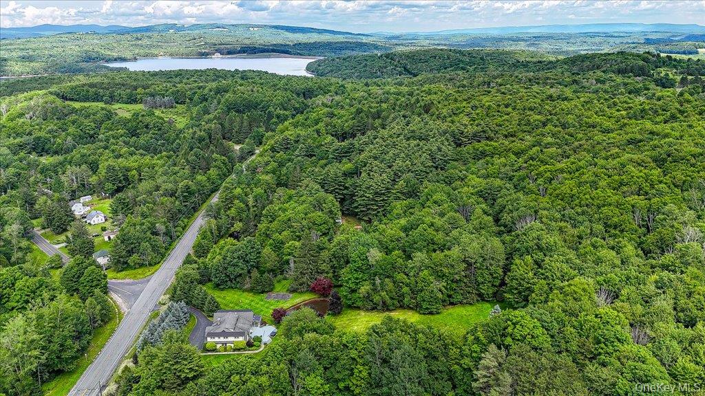 6566 State Rte 55 Liberty, NY 12754 - Photo 48 of 50 Overlooking Neversink Reservoir