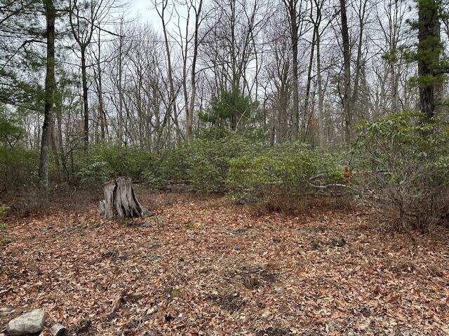 134 Maple Drive Cresco, PA 18326 - Photo 13 of 13 a big yard with lots of green space and deers