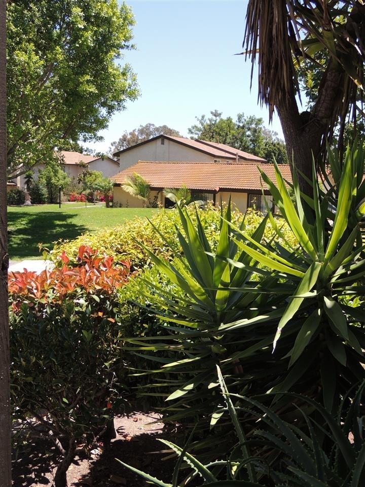 441 Bluffview Road Spring Valley, CA 91977 - Photo 6 of 15 Gallery Image 6