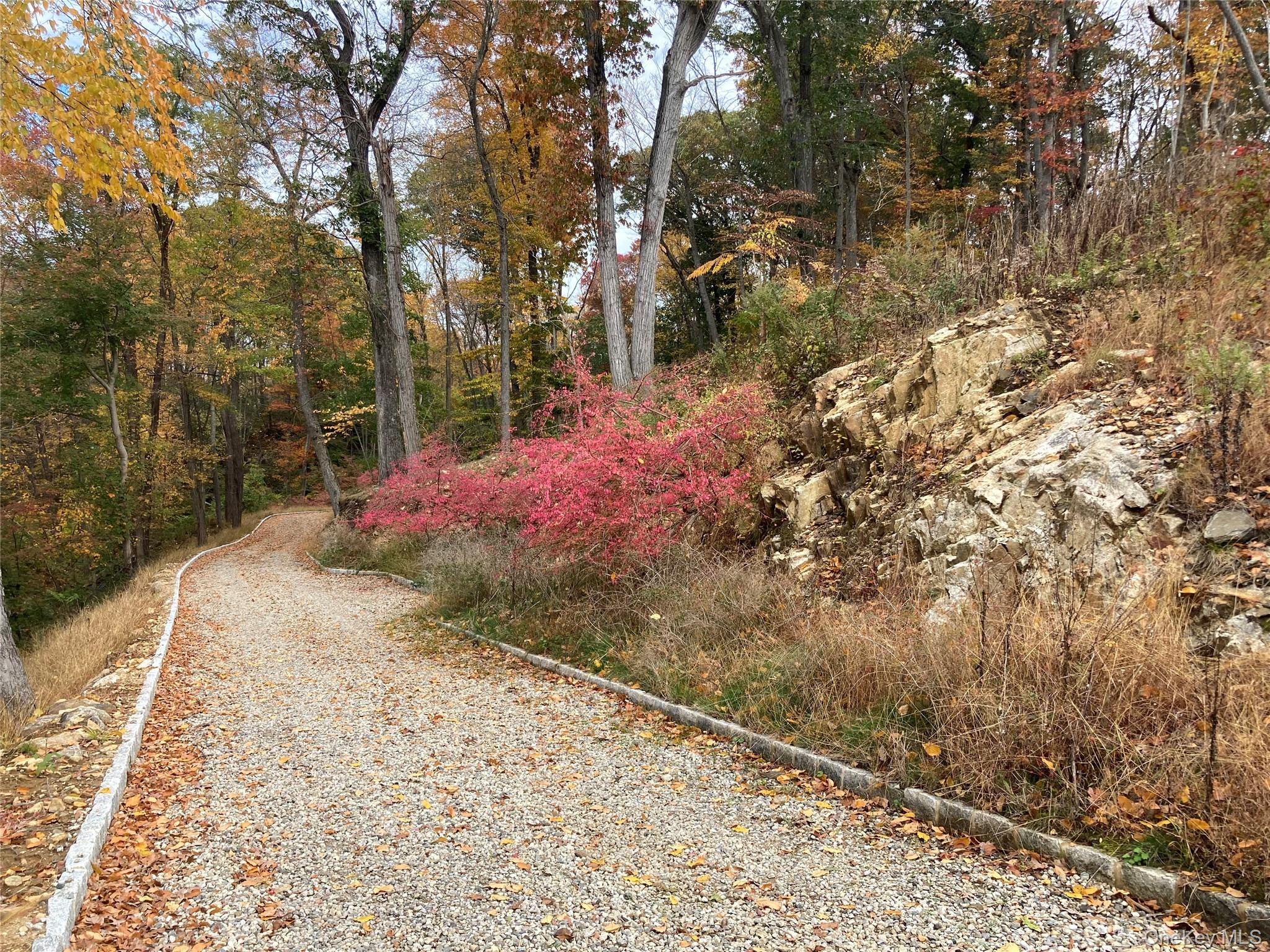 6 Duffys Bridge Road Katonah, NY 10536 - Photo 3 of 9 View of road with a view of trees