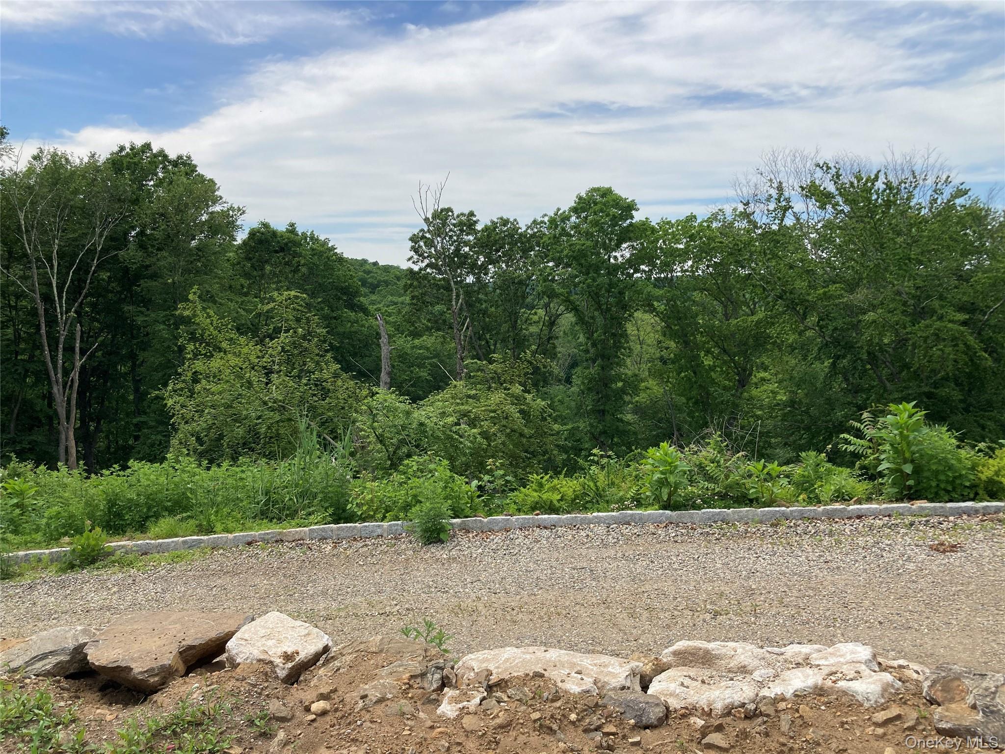 6 Duffys Bridge Road Katonah, NY 10536 - Photo 6 of 9 View of yard