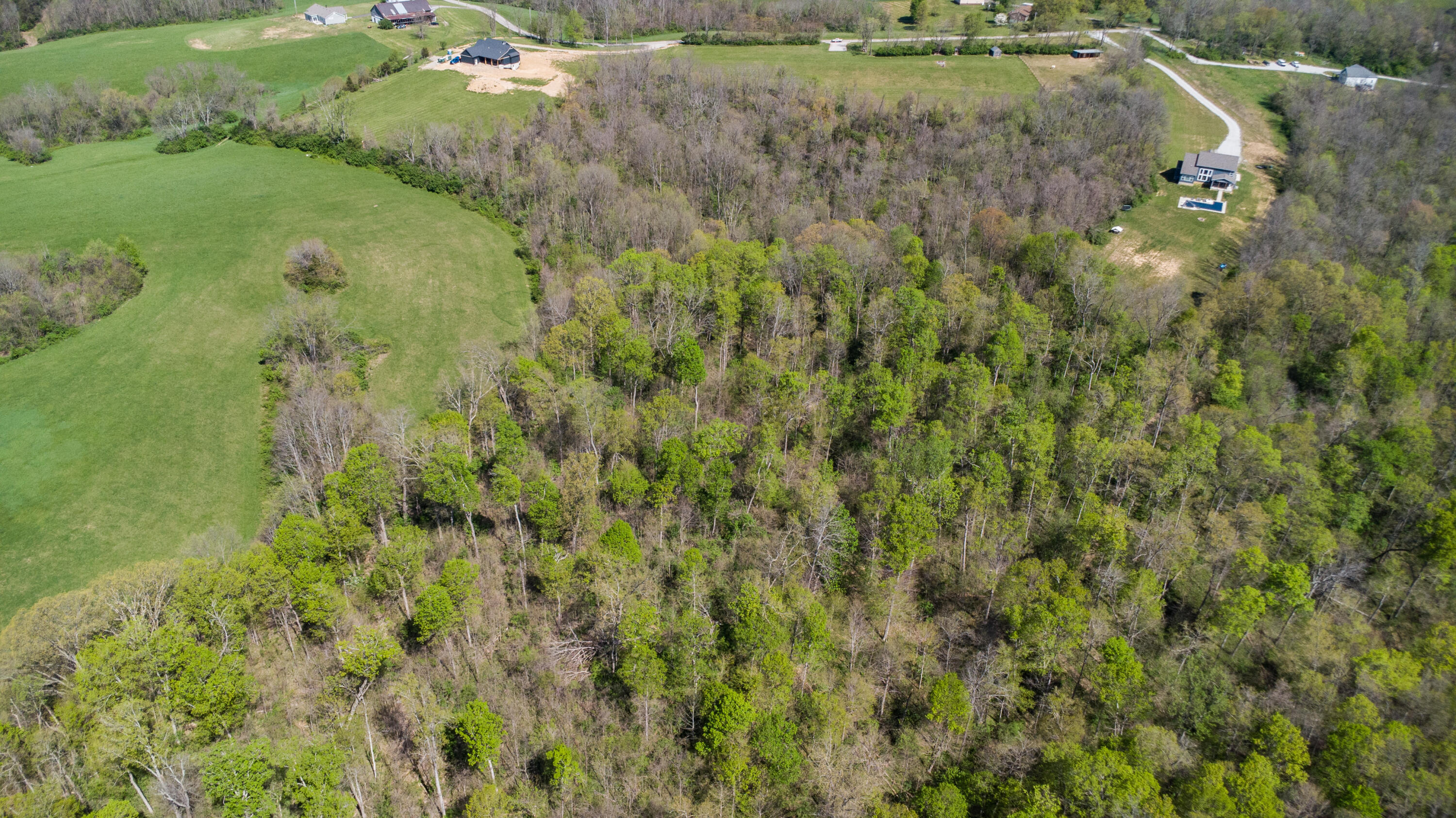 0 Baton Rouge 5.1 Acres Road Williamstown, KY 41097 - Photo 22 of 24 Gallery Image 22