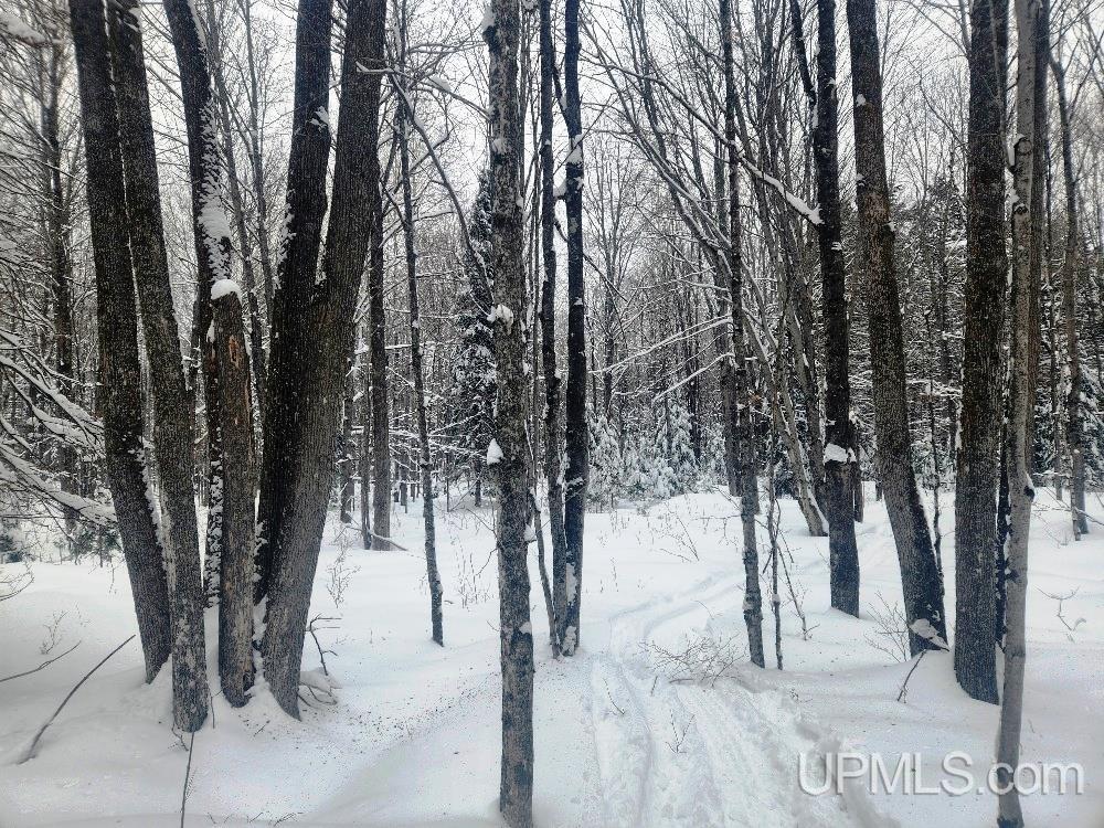 Tbd Oss Road, Unit 40 ACRES Crystal Falls, MI 49920 - Photo 1 of 18 Gallery Image 1