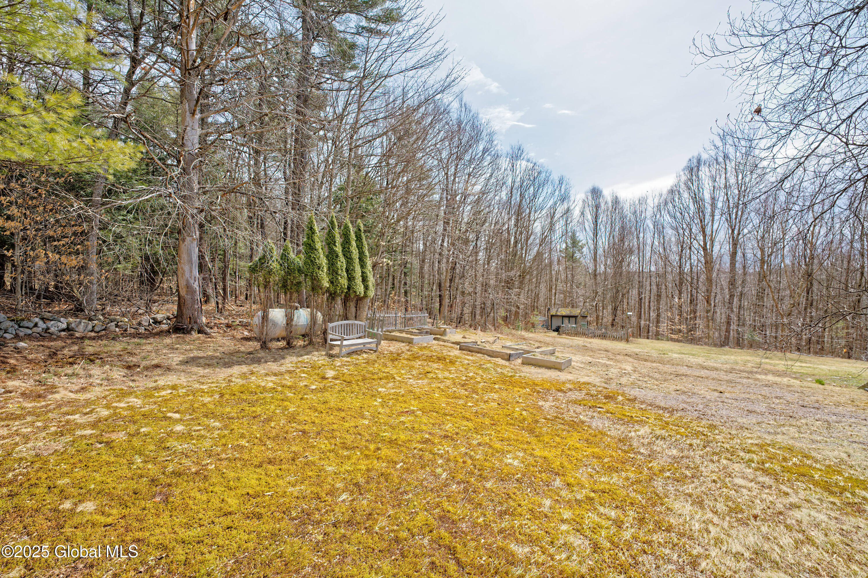 177 Hinds Road Providence, NY 12074 - Photo 61 of 63 Yard 19