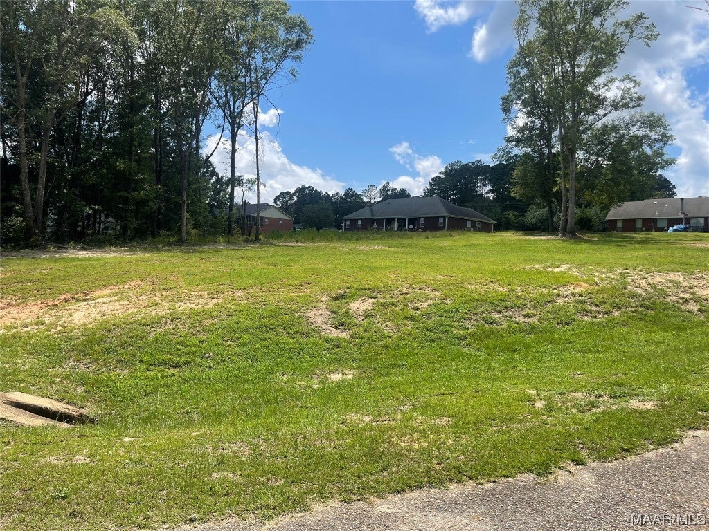 Tbd Lot#4 Tbd Road Luverne, AL 36049 - Photo 3 of 7 Gallery Image 3