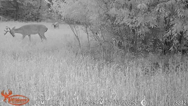 $219,000 | 21210 West 12 Mile Road, Wellston, MI 49689