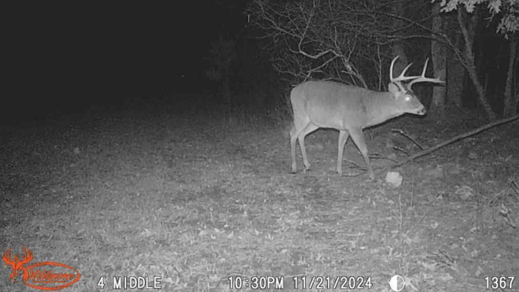 21210 West 12 Mile Road Wellston, MI 49689 - Photo 19 of 25 Hunting 6