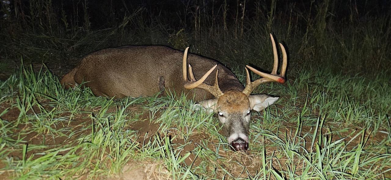 21210 West 12 Mile Road Wellston, MI 49689 - Photo 20 of 25 Hunting 7