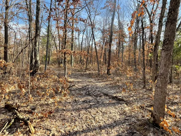 $219,000 | 21210 West 12 Mile Road, Wellston, MI 49689