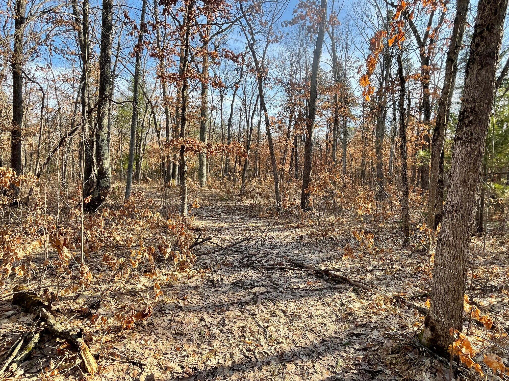 21210 West 12 Mile Road Wellston, MI 49689 - Photo 2 of 12 IMG_0101