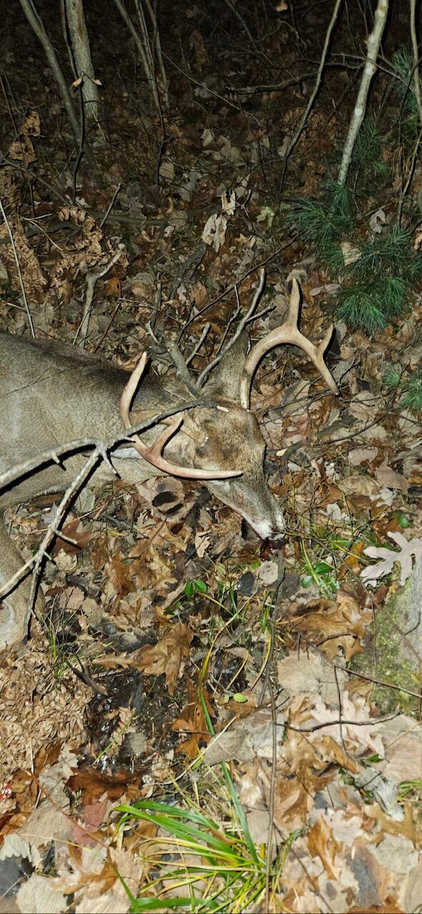 21210 West 12 Mile Road Wellston, MI 49689 - Photo 23 of 25 Hunting 10