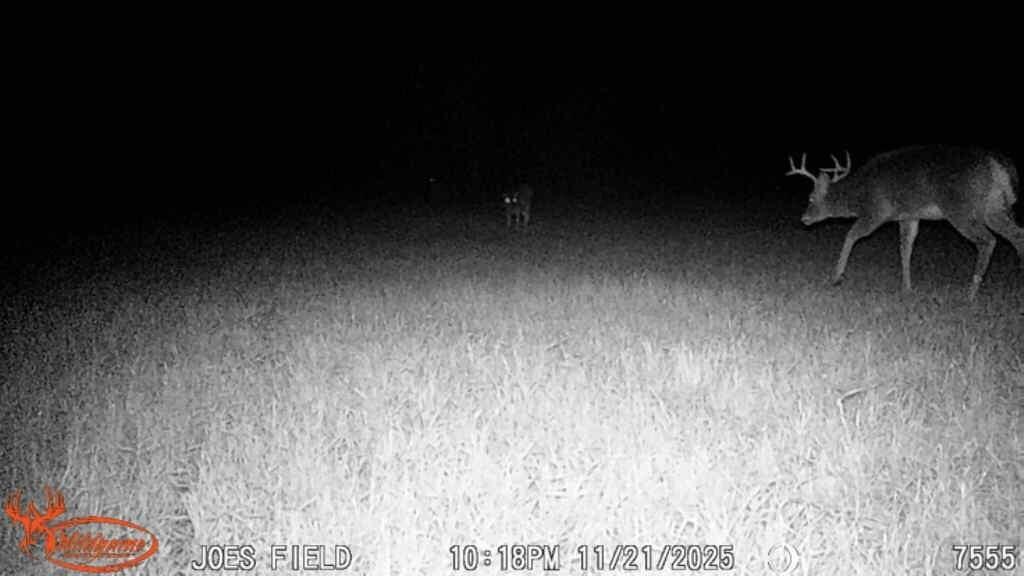 21210 West 12 Mile Road Wellston, MI 49689 - Photo 25 of 25 Hunting 12