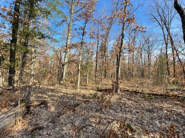 $219,000 | 21210 West 12 Mile Road, Wellston, MI 49689