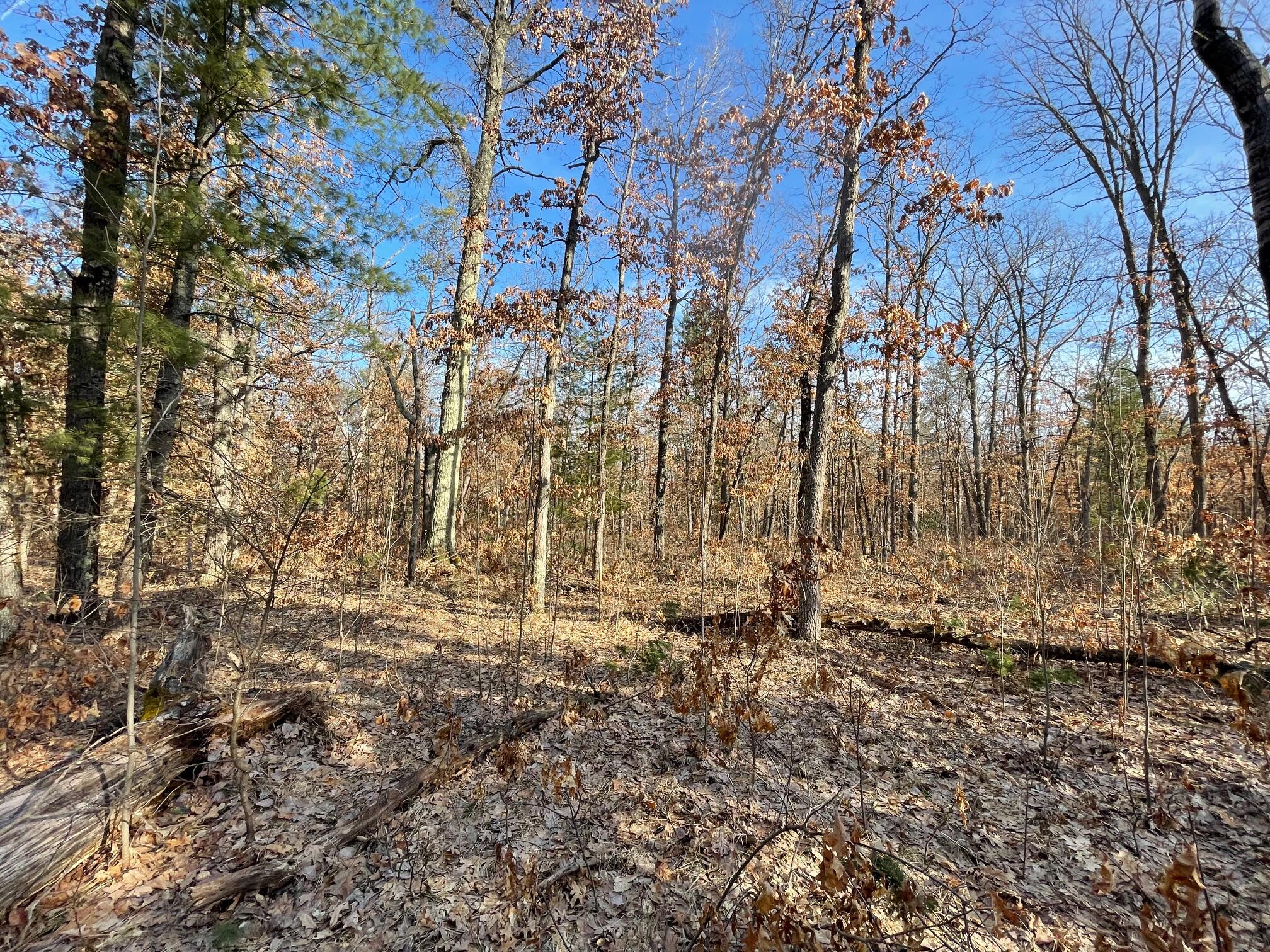 21210 West 12 Mile Road Wellston, MI 49689 - Photo 3 of 12 IMG_0106