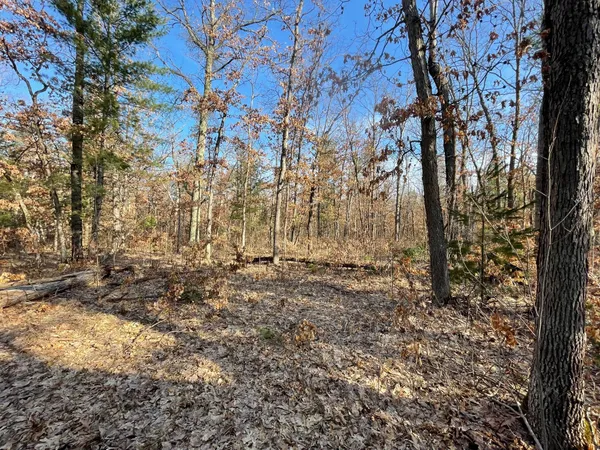 $219,000 | 21210 West 12 Mile Road, Wellston, MI 49689