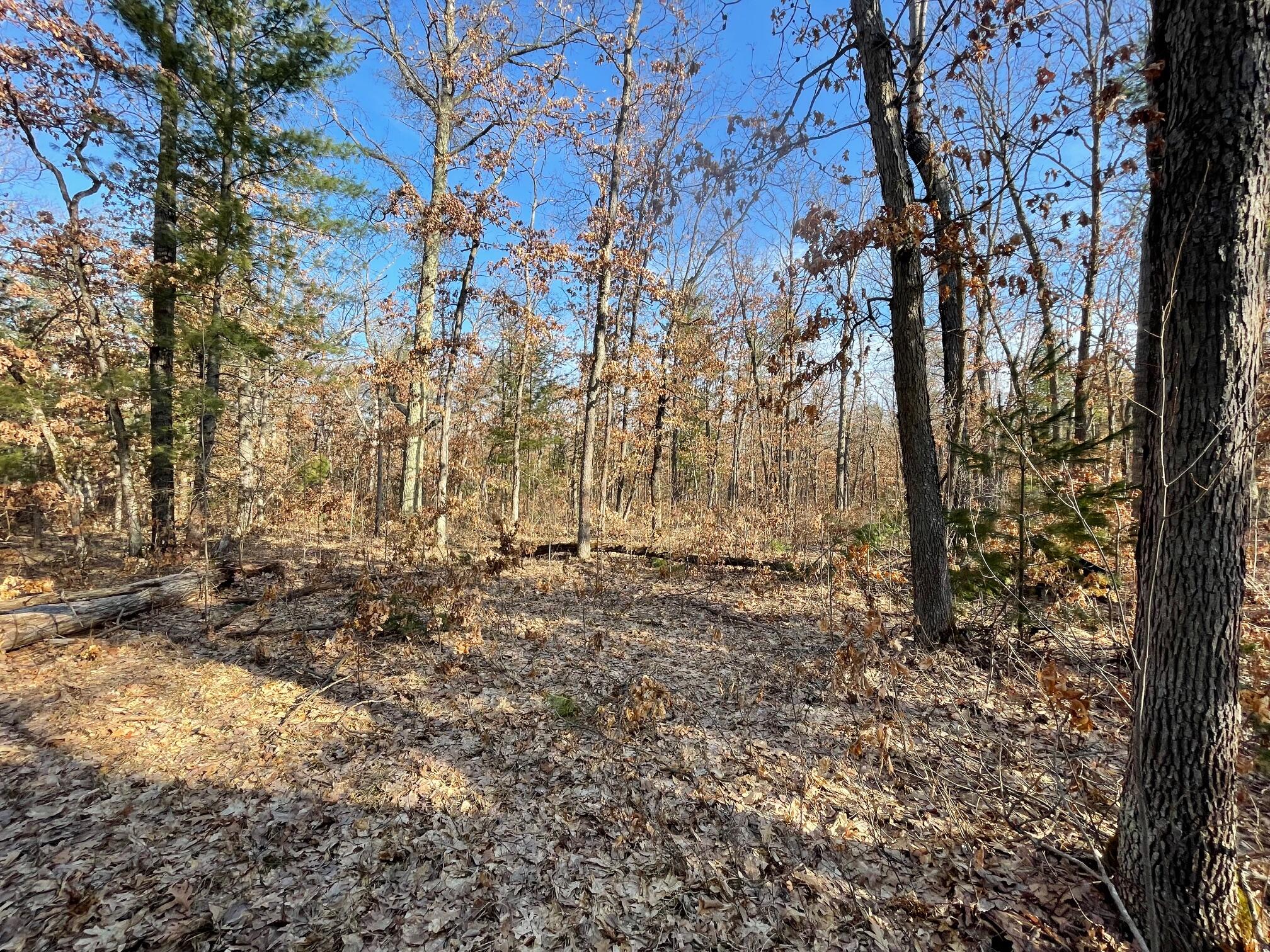 21210 West 12 Mile Road Wellston, MI 49689 - Photo 4 of 12 IMG_0105