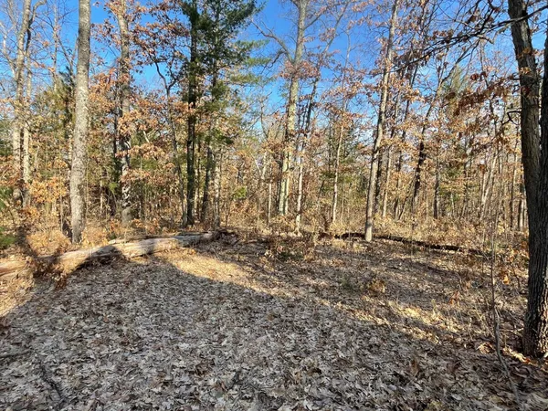 $219,000 | 21210 West 12 Mile Road, Wellston, MI 49689