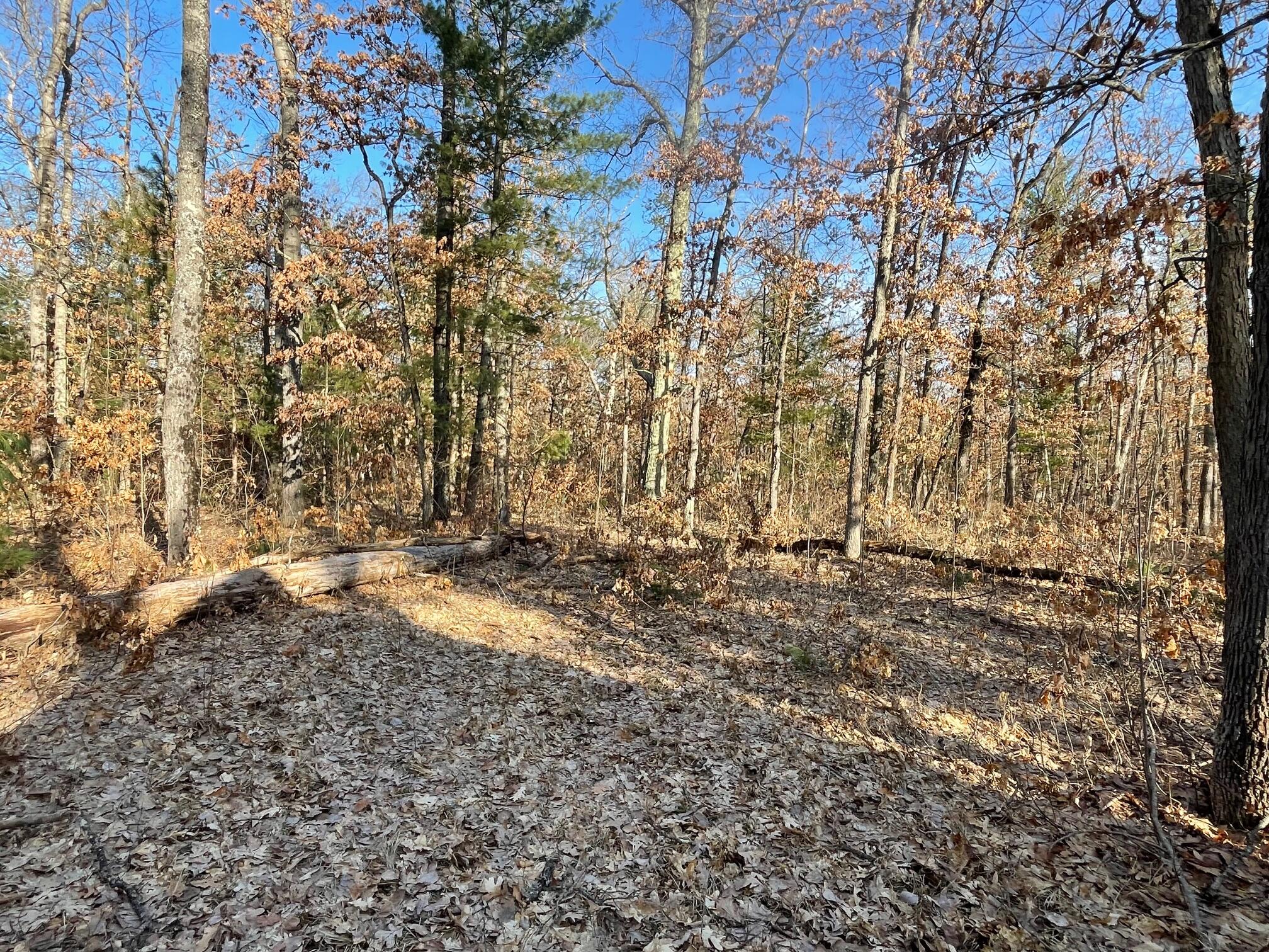 21210 West 12 Mile Road Wellston, MI 49689 - Photo 10 of 12 IMG_0099