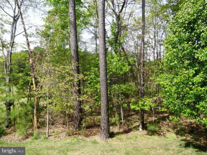 10505 Chatham Ridge Way Spotsylvania, VA 22551 - Photo 1 of 26 View