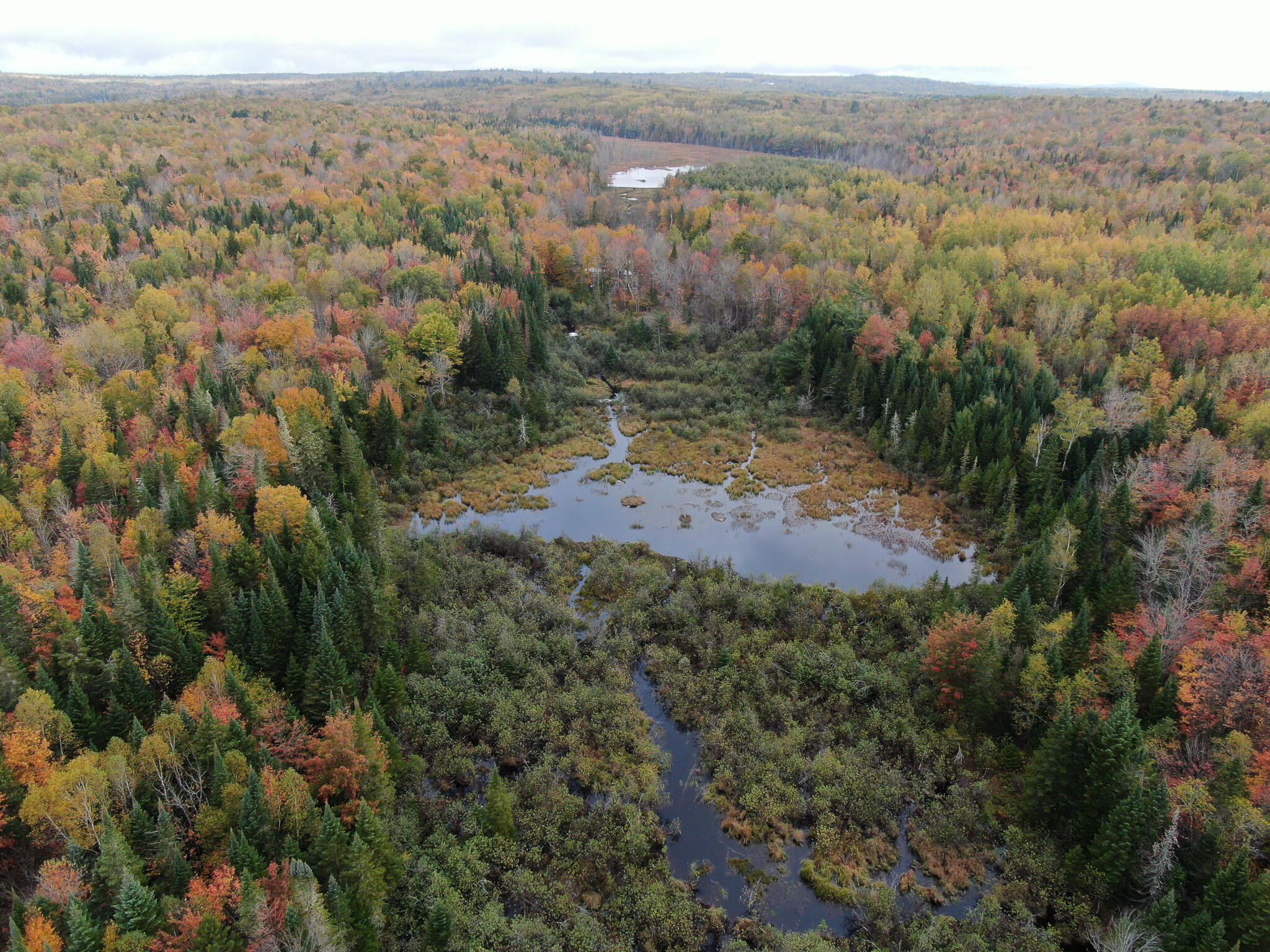 Lot 14 Smith Road Brownville, ME 04414 - Photo 5 of 26 DJI_0462