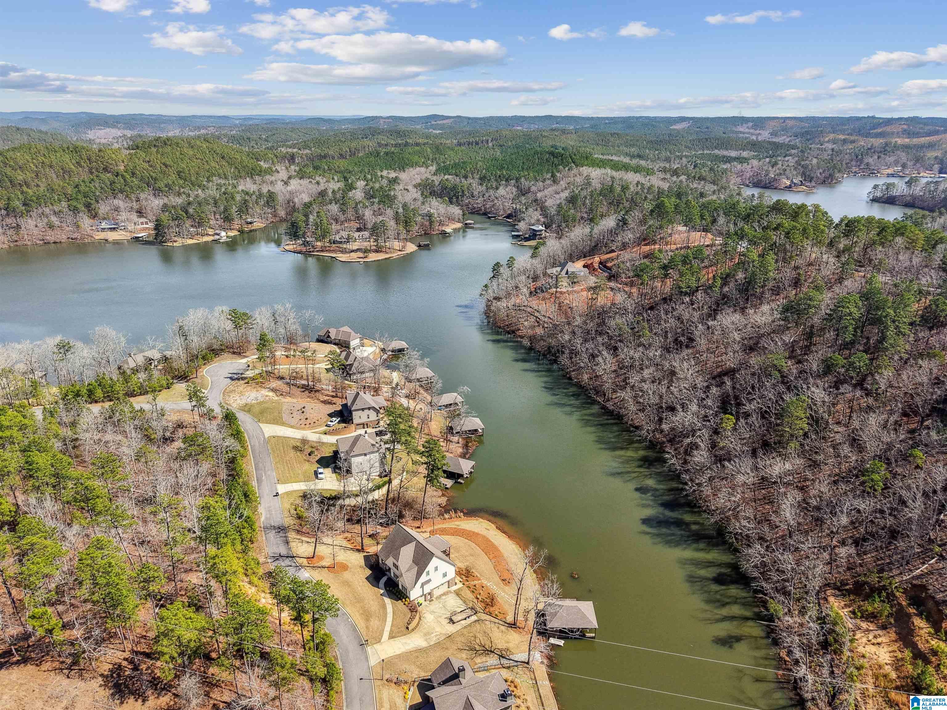 1070 Preserve Road Rockford, AL 35136 - Photo 18 of 69