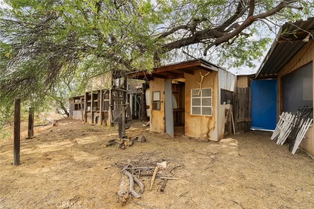 a view of a road with trees