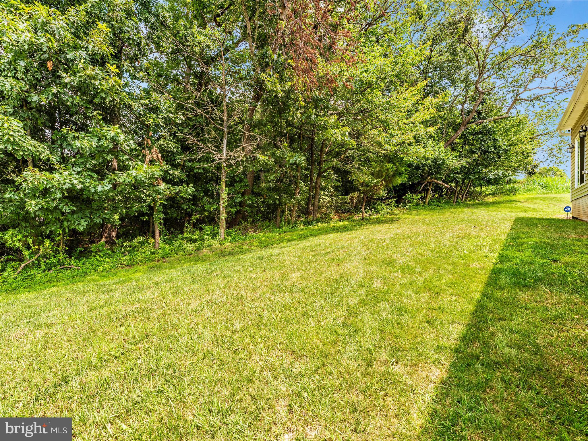 7309 Talbot Run Road Mount Airy, MD 21771 - Photo 38 of 39 Exterior Back